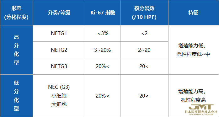 JMT日本干细胞——胰腺·胃肠道神经内分泌肿瘤的分类与诊断①