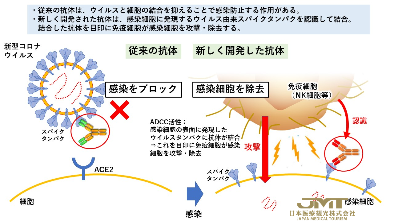 JMT日本医疗——日本成功创造出可以应对所有冠状病毒的“划时代新抗体”