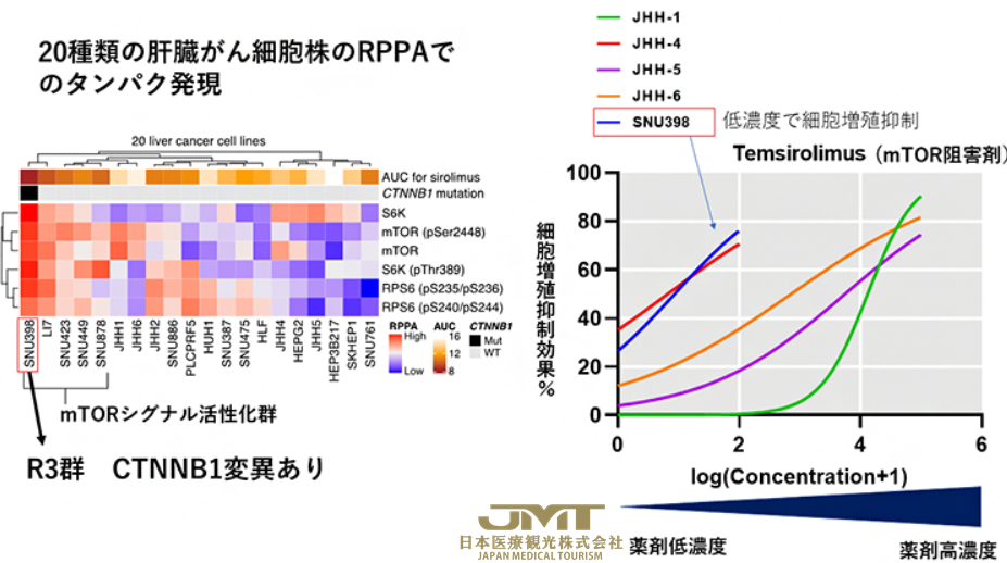 JMT日本医疗——肝癌的分子分类与治疗药物选择③