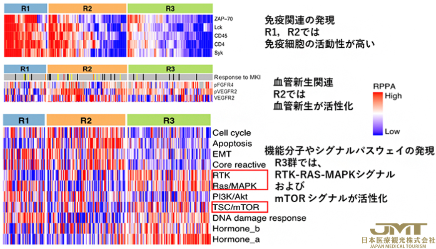 JMT日本医疗——肝癌的分子分类与治疗药物选择③