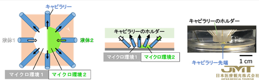 JMT日本医疗——操作细胞的微环境②