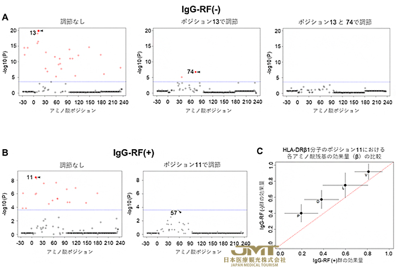 JMT日本医疗——类风湿性关节炎的类风湿因子IgG-RF的有无与特定基因模式有关③