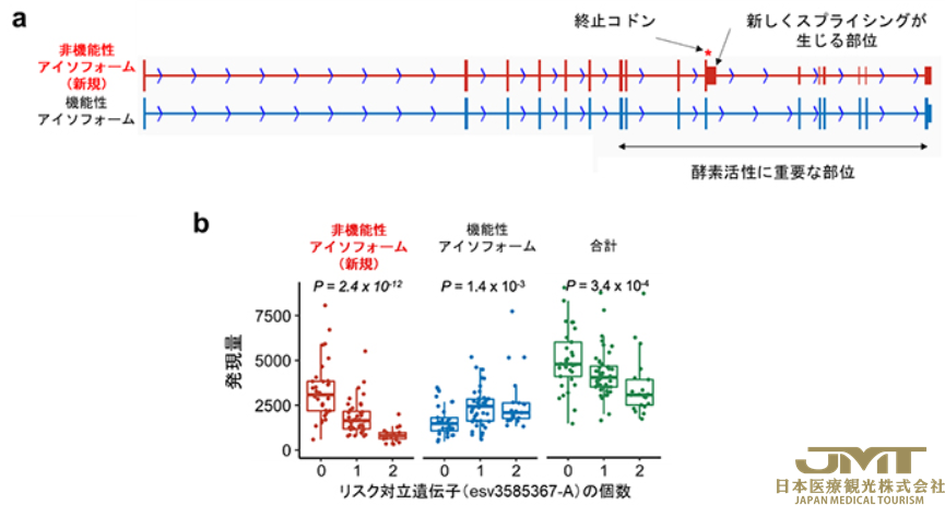 JMT日本医疗——通过国际基因组分析阐明类风湿关节炎的遗传背景③