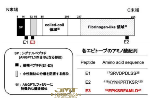 JMT日本医疗——高血脂最新疗法-肽疫苗治疗