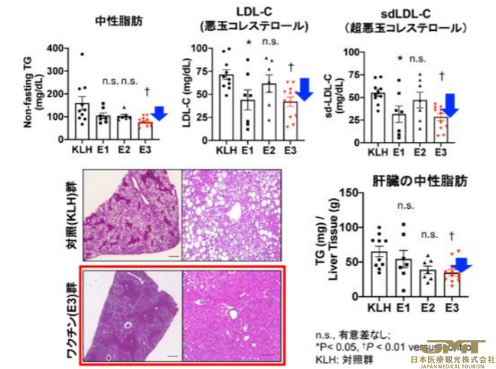 JMT日本医疗——高血脂最新疗法-肽疫苗治疗