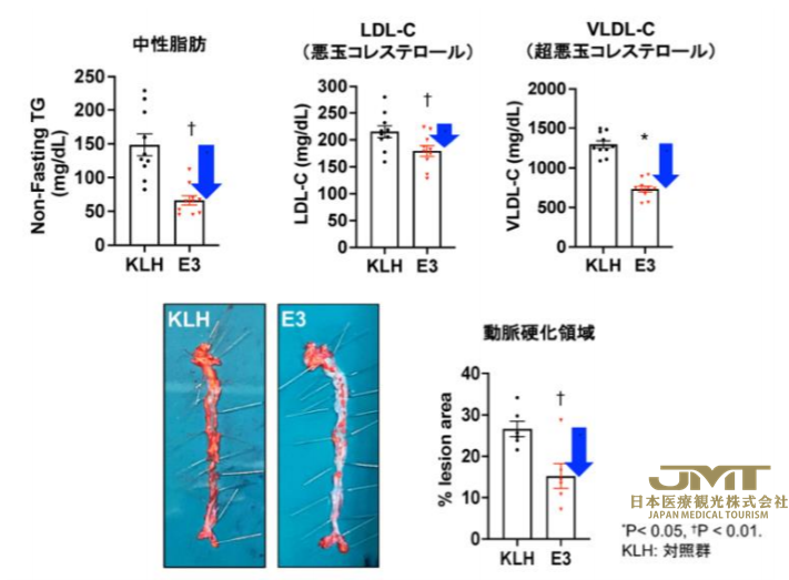 JMT日本医疗——高血脂最新疗法-肽疫苗治疗