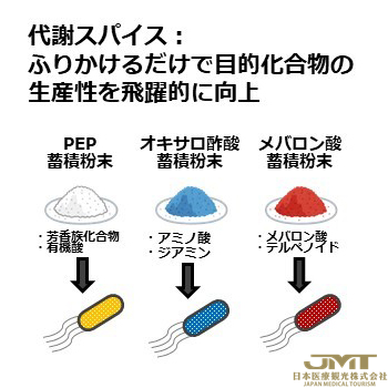 JMT日本医疗——日本研究发现颠覆常识的糖的再排出机制②